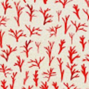 Meet your Posher, Stella